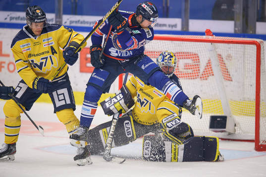 s målvakt Hugo Alnefelt