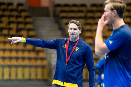 Förbundskapten Glenn Solberg