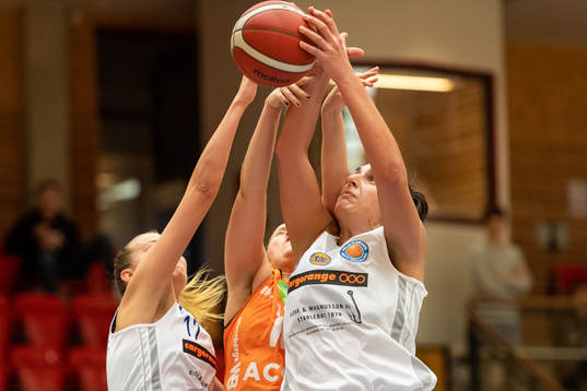 Helsingborgs Vasiliki Louka