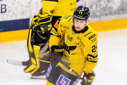 Västerås Joakim Hillding