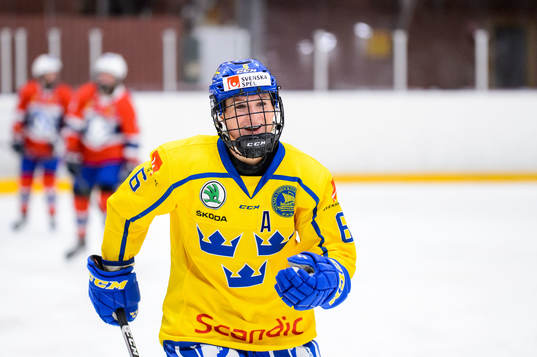 Bläddra bland fler bilder av Ice Hockey, Women, International Friendly, Sweden - Norway 