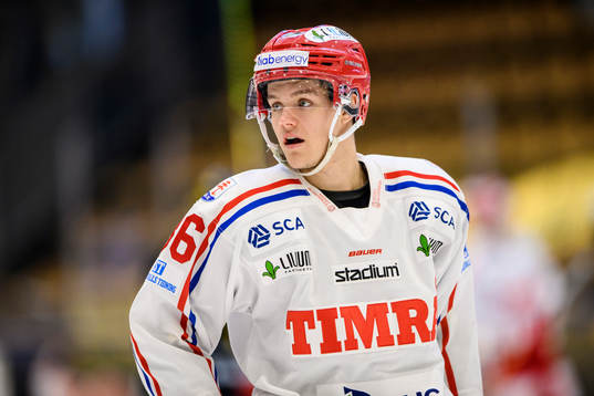 Timrås Leon Lerebäck