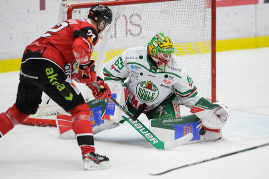 Rögles målvakt Christoffer Rifalk och Malmö Redhawks