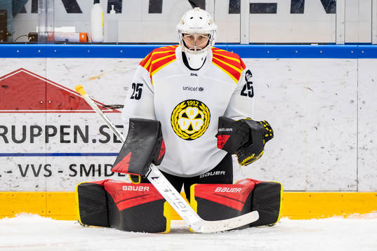 Brynäs målvakt Adam Matsson