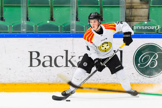 Brynäs Noel Gunler
