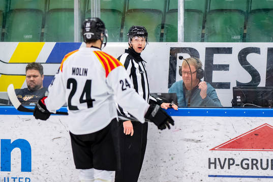 Domare Mikael Andersson i samspråk med Brynäs Emil Molin