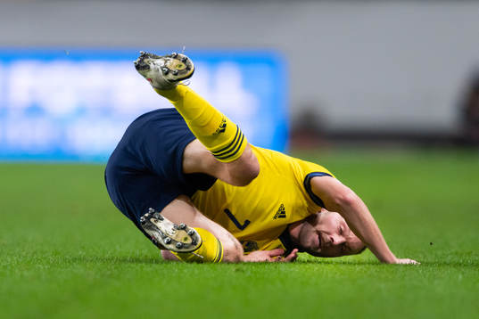 Sebastian Larsson of Sweden