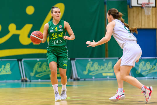 Alviks Anna Stern