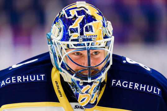 s målvakt Hugo Alnefelt