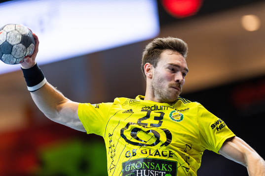 Sävehofs Henrik Tilsted