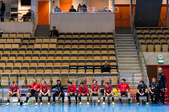 Guifs spelare och ledare på bänken