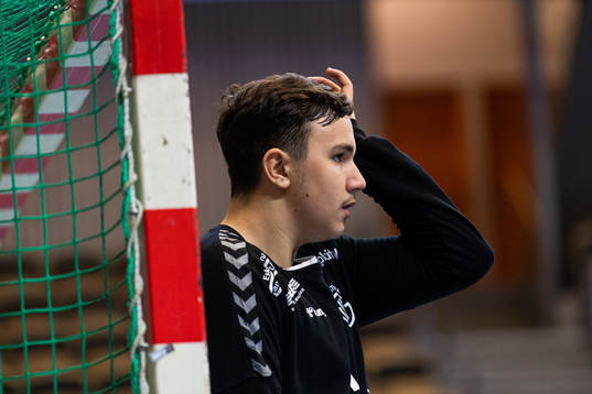 Guifs målvakt Marko Roganovic