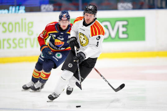 Brynäs John Nyberg och Djurgårdens Dominik Bokk