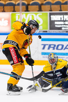 s målvakt Hugo Alnefelt