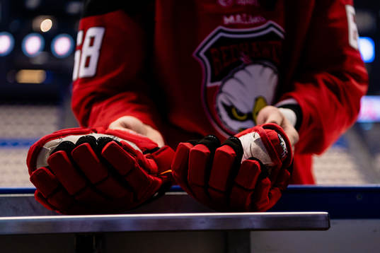 Malmö Redhawks handskar