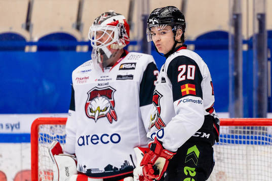 Malmö Redhawks Helge Grans deppar