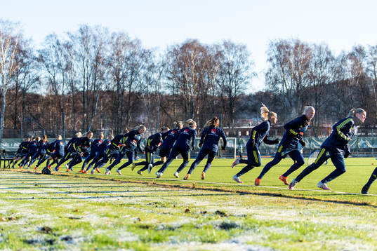 Spelare springer