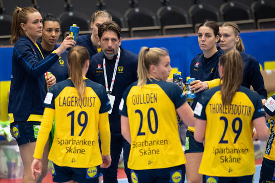 Sveriges förbundskapten Tomas Axner