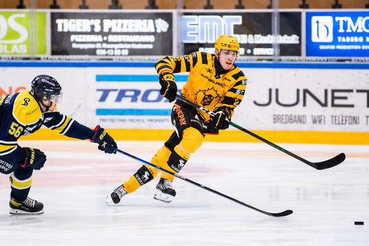 s Fredrik Forsberg och Skellefteås Adam Wilsby