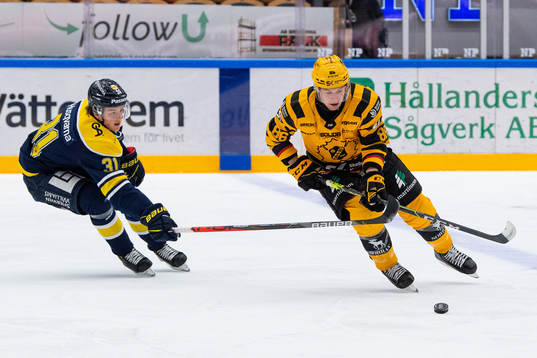 s Oskar Olausson och Skellefteås Tyler Morley