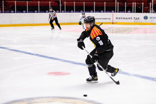 Brynäs Anton Rödin