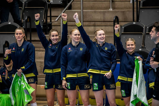 Sveriges spelare jublar