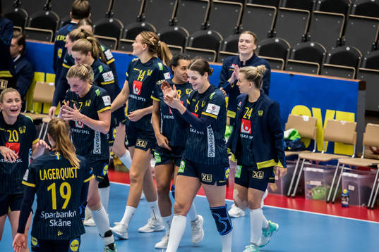 Sveriges spelare jublar