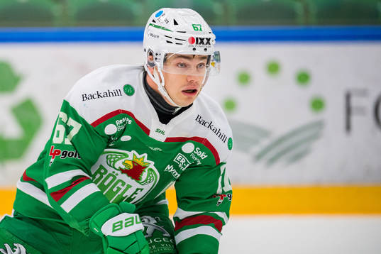 Rögles Leon Bristedt
