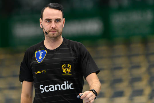 Domare Mattias Wetterwik