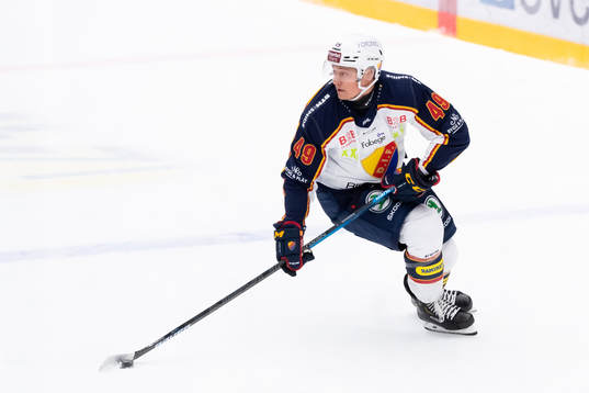 Djurgårdens Rhett Rakhshani