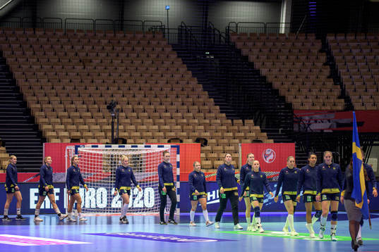 Players of Sweden