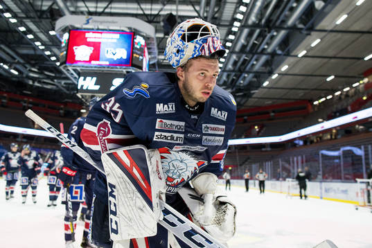 Bläddra bland fler bilder av Ishockey, SHL, Linköping - Rögle