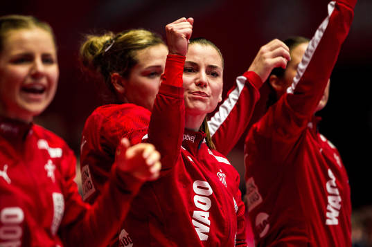 Players of Denmark celebrate