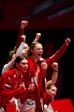 Players of Denmark celebrate