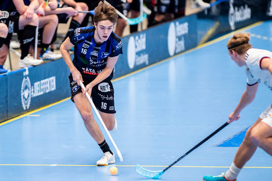 Helsingborgs Fredi Petersson