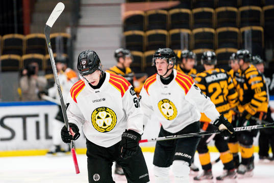 Brynäs Tomi Sallinen deppar