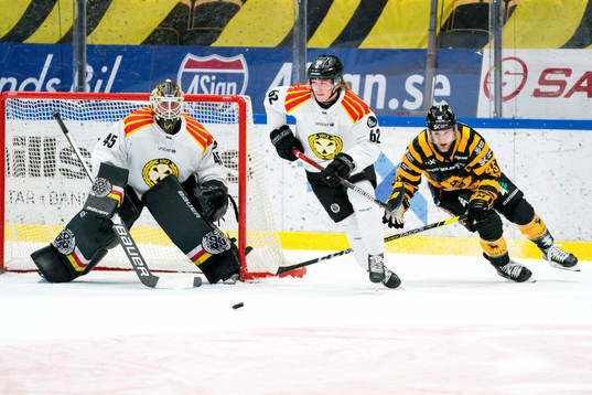 Brynäs Tom Hedberg och Skellefteås Oscar Möller