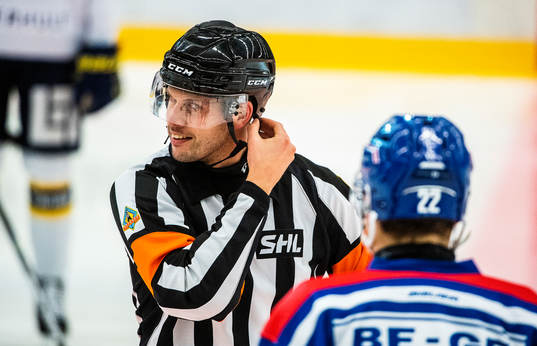 Domare Johan Magnusson