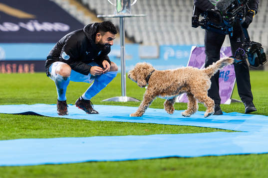 Malmö FFs Behrang Safari med sin hund Dante när han hyllas