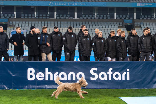 Malmö FFs Behrang Safaris hund Dante när hans husse hyllas