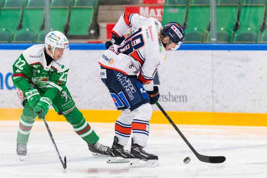 Bläddra bland fler bilder av Ishockey, SHL, Rögle - Växjö