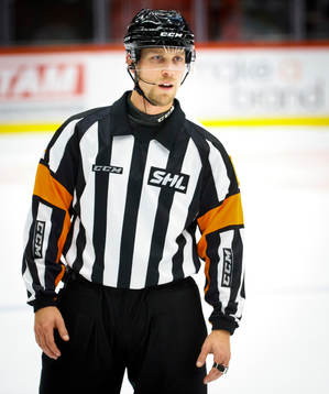 Domare Andreas Harnebring