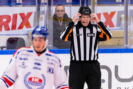 Domare Morgan Johansson