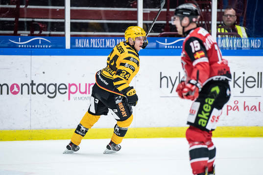 Skellefteås Andreas Wingerli jublar