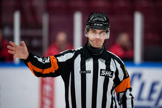 Domare Richard Magnusson