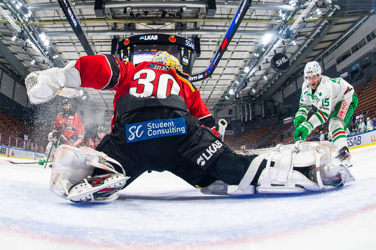 Bläddra bland fler bilder av Ishockey, SHL, Luleå - Rögle