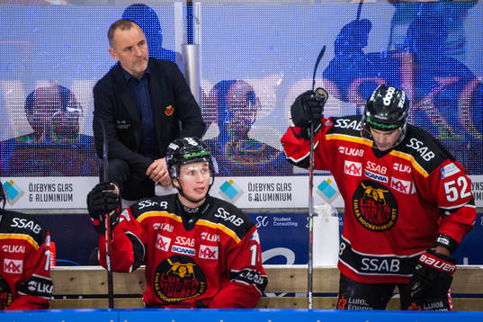 Luleås tränare Thomas Berglund deppar