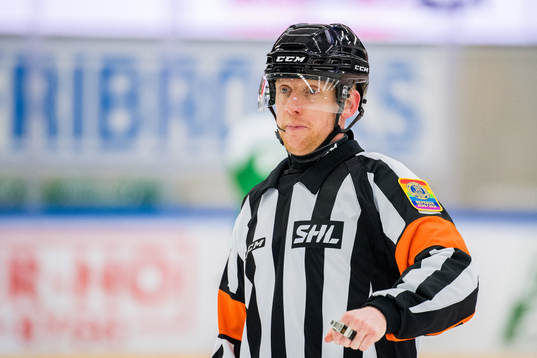 Domare Mikael Holm