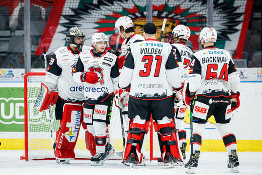 Malmö Redhawks spelare jublar