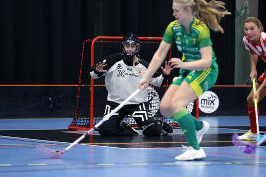 Thorengruppens Emelie Fällman